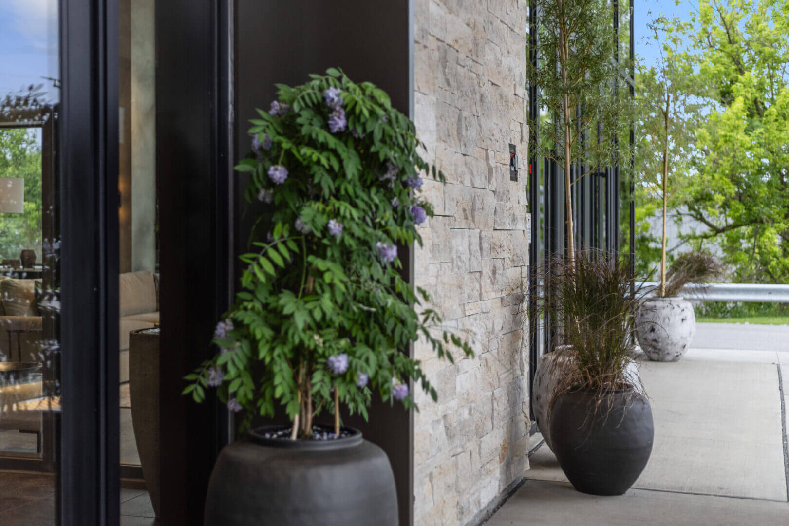 Outdoor potted plants by stone wall.